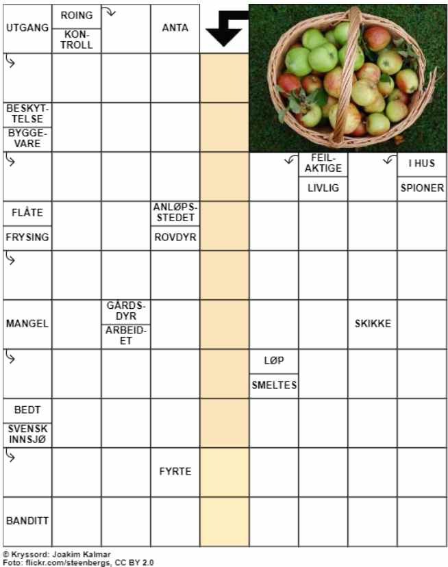 Dagens kryssord – 1. September - 2024