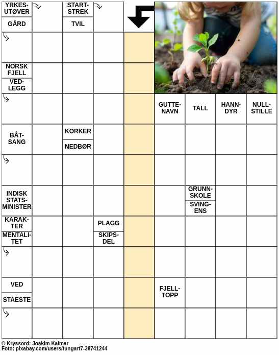 Dagens kryssord – 11. April - 2024