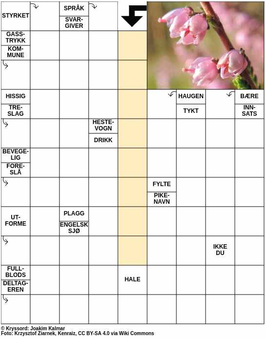 Dagens kryssord – 20. Mai - 2024